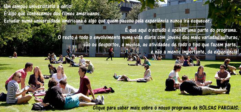 Bolsas para Universidades